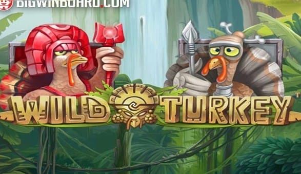 Wild Turkey