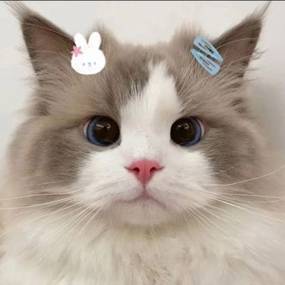 Pao_Slots avatar