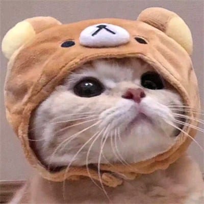 TitaBaby_Luck avatar